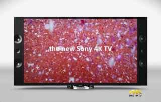 Sony Reinforces Brand Identity With Stunning Flower Petal Ad