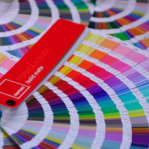 Logo Design Los Angeles