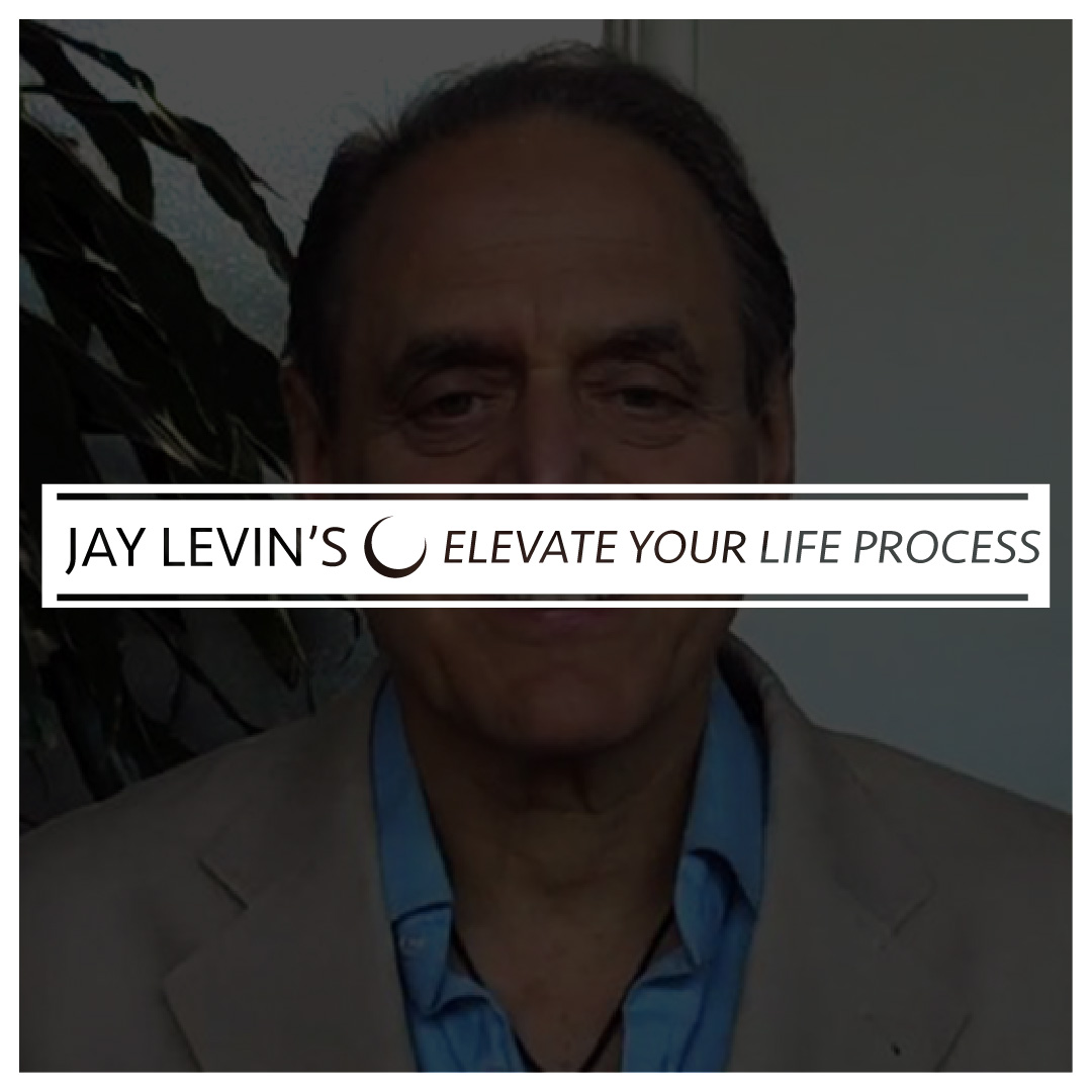 Jay Levin's, Elevate Your Life Process